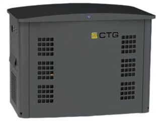 Газовый генератор CTG CG18000TSA