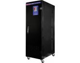 Стабилизатор напряжения Delta DLT SRV 330045